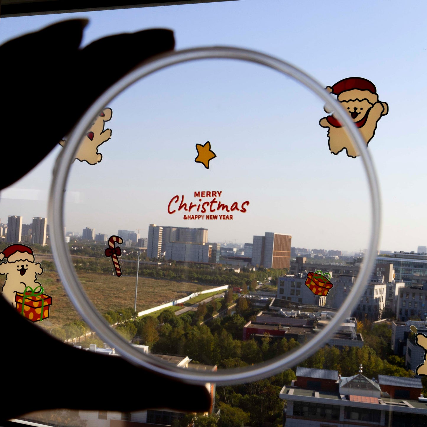 Transparent PMMA Disc-(OP98mm)