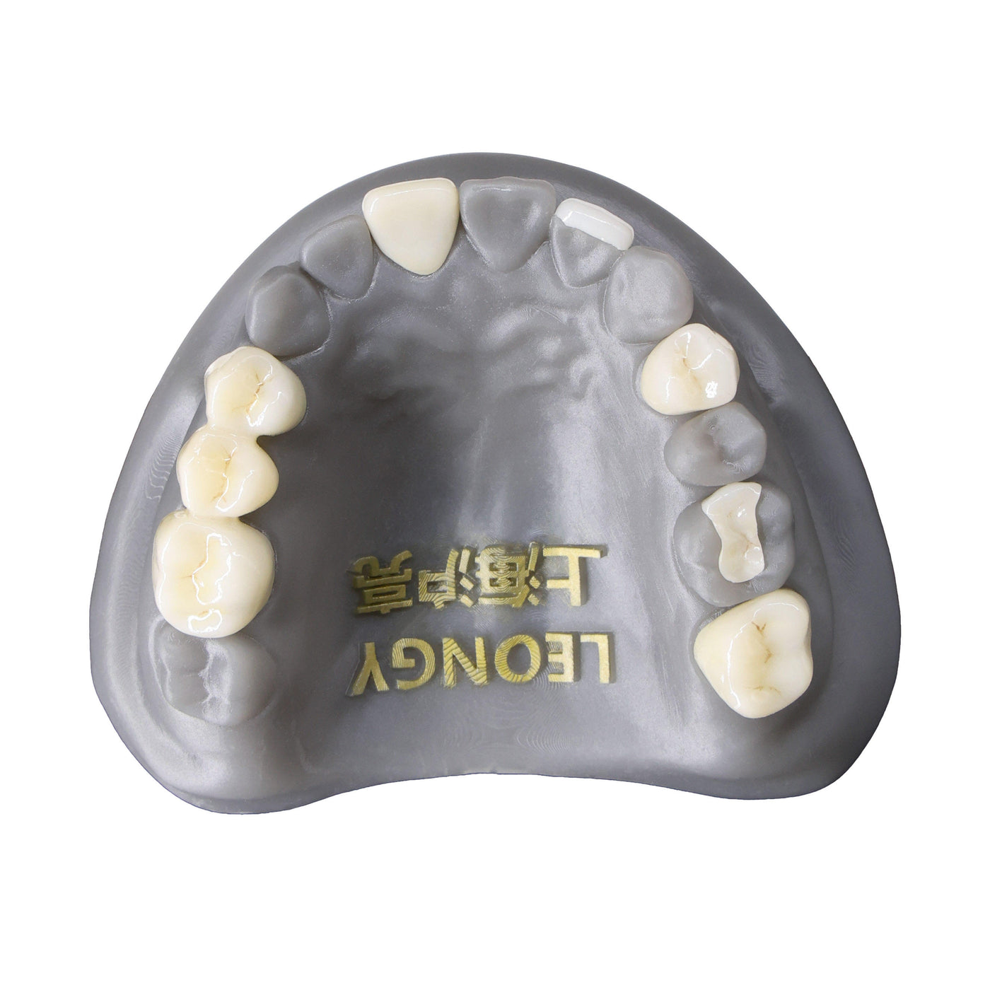 ST-ML — Zirconia Disc ZZ(95mm)