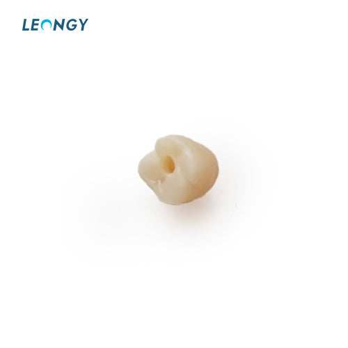 CHT — Zirconia Disc ZZ(95mm)