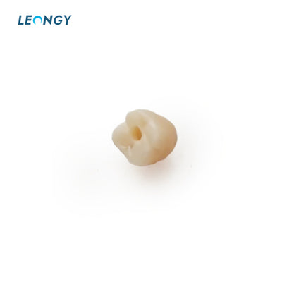 CHT — Zirconia Disc ZZ(95mm)